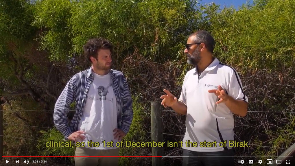 Walyalup Aboriginal Cultural Centre video