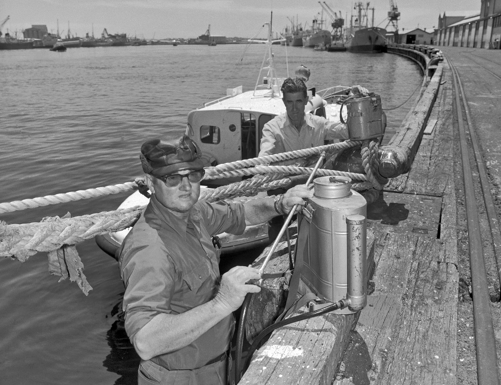 Rat catching operations at Victoria Quay 1968 - State Library of Western Australia 281612PD Rat catching operations at Victoria Quay 1968 - State Library of Western Australia 281612PD